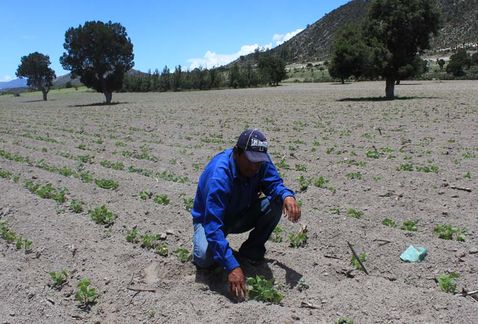Se hizo un llamado a los campesinos para que lleven su producto a los centros.