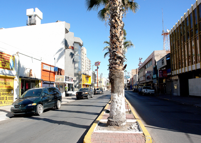 A través  de un Consejo se buscará tomar decisiones para el Paseo Morelos