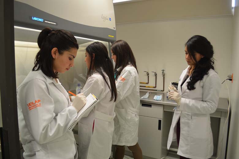 Desarrollan el trabajo titulado “Nanoalimentos funcionales de vitamina E: Actividad anticancerígena in vivo”.