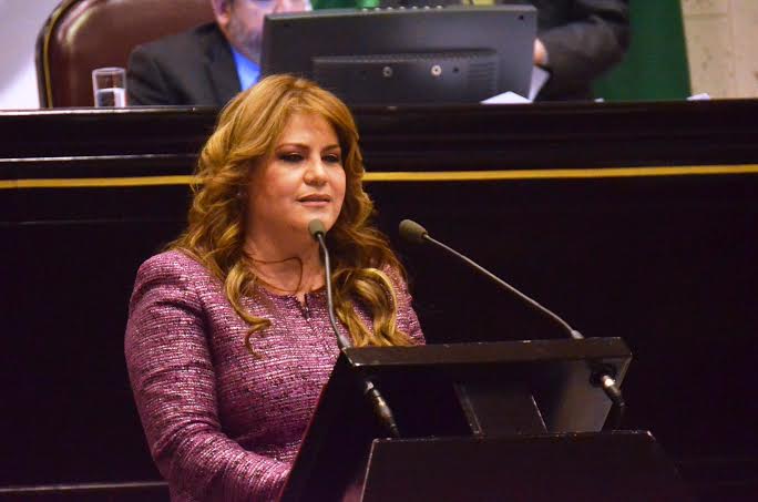 Octavia Ortega Arteaga fijó su postura con respecto al proyecto Monterrey VI.