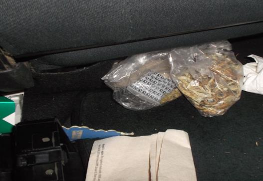 Hongos y marihuana