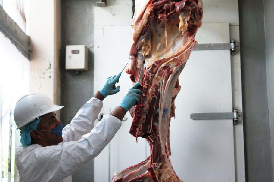 Se busca mejorar el proceso de inspección de la carne.