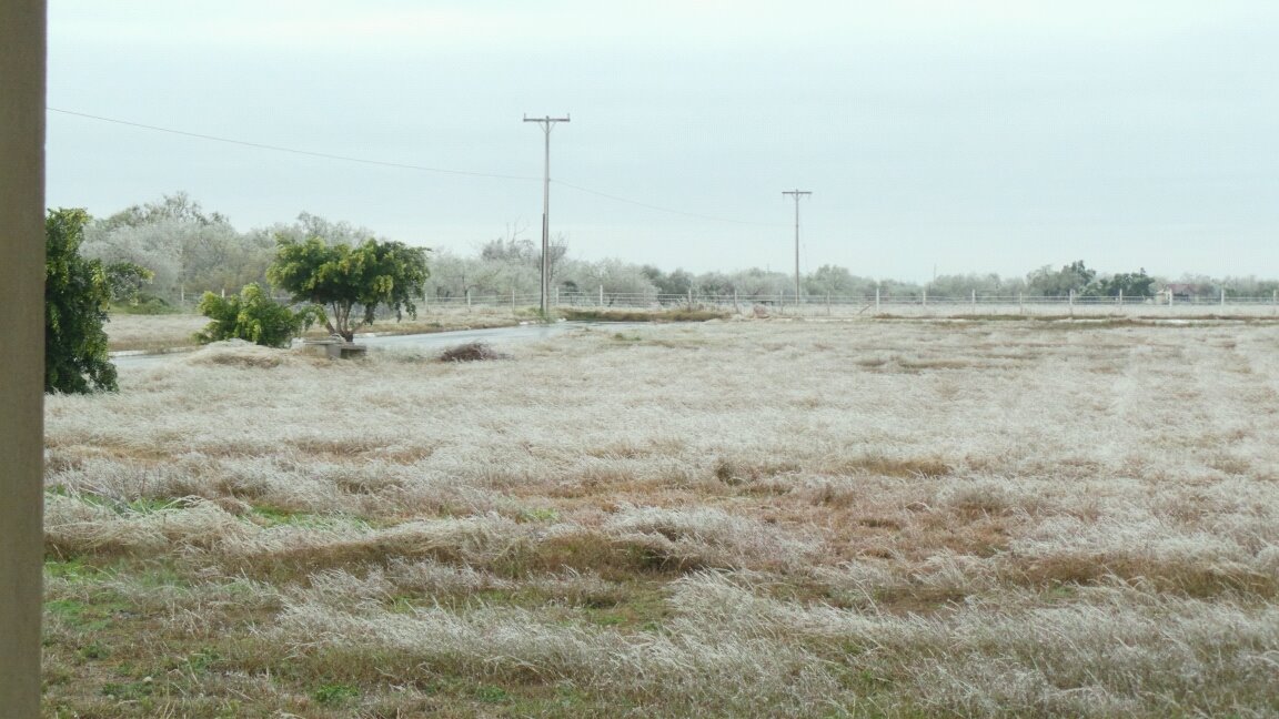 En el campo se apreció un poco de hielo