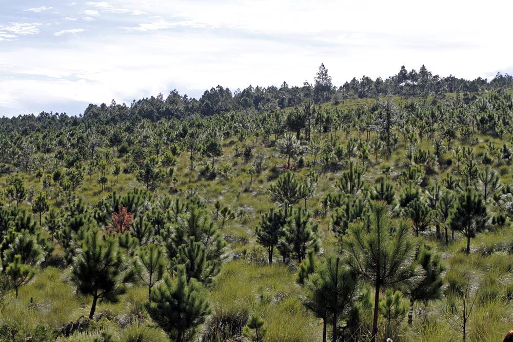 Atenderán problema en la ex Hacienda de Cuyamaloya. 