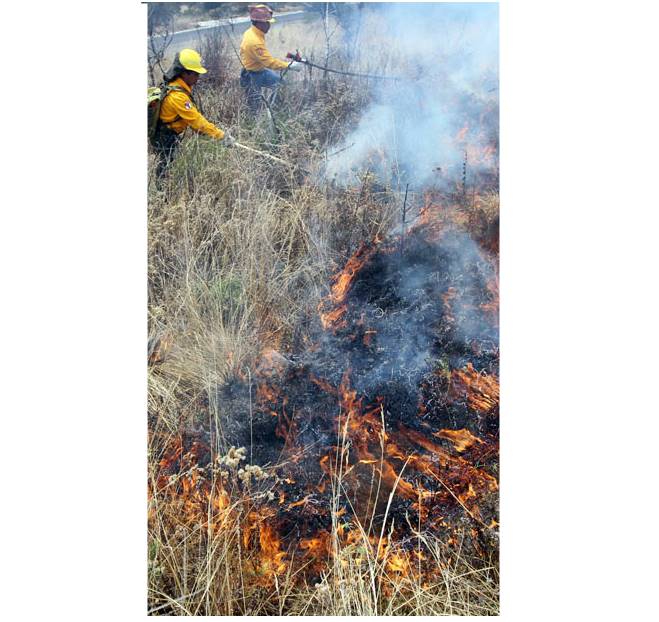 Se pronostica temporada critica de incendios. 