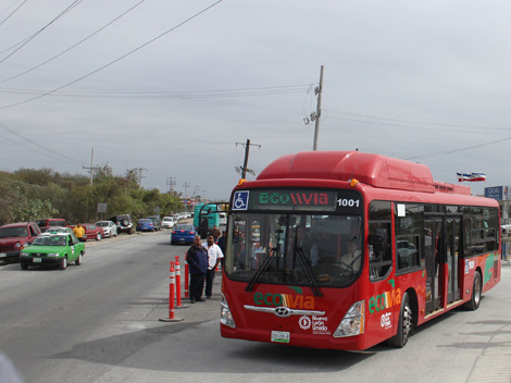 Contemplan plantar 400 encinos. 