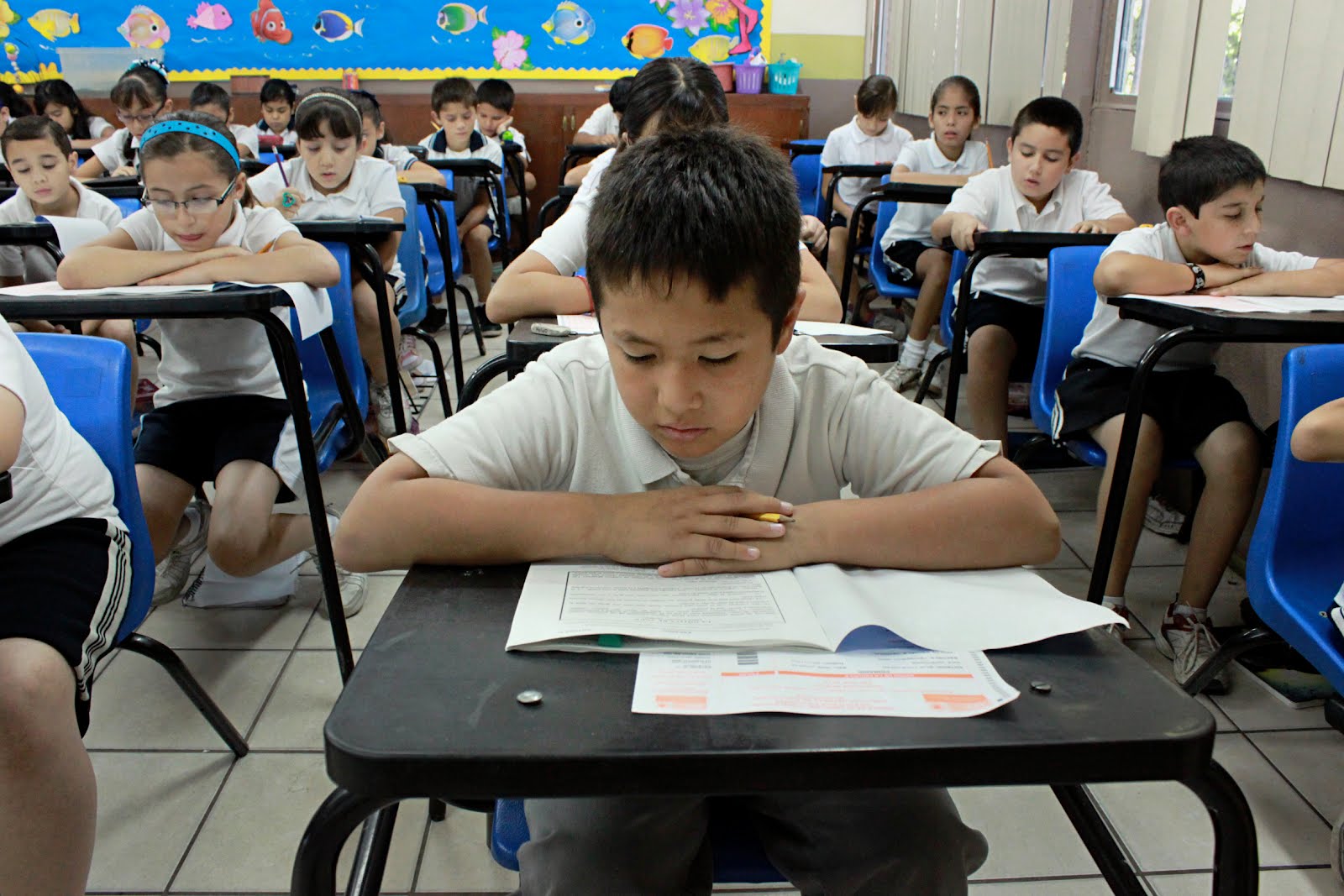 Educación básica primaria