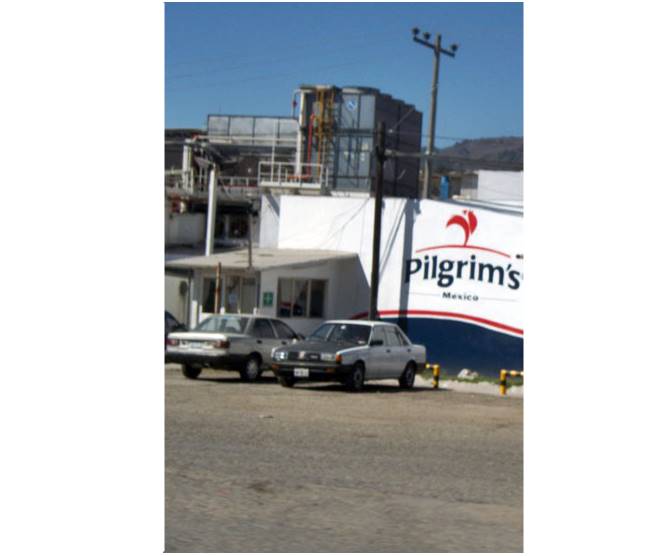 Vecinos de Tepeji se quejan por contaminación de la empresa Pilgrim´s. 