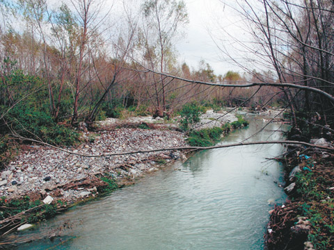 Pocos habitantes de Monterrey y zonas aledañas saben de la riqueza biológica de este río, siempre pensado como seco, muerto y polvoso. Sin embargo, a 