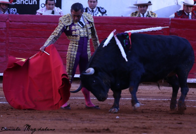 Corrida del 10 de febrero