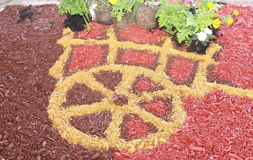 El mulch multicolor ayudará a embellecer los camellones