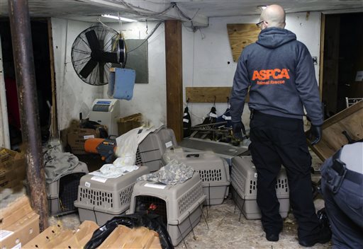 Las aves fueron rescatadas el domingo