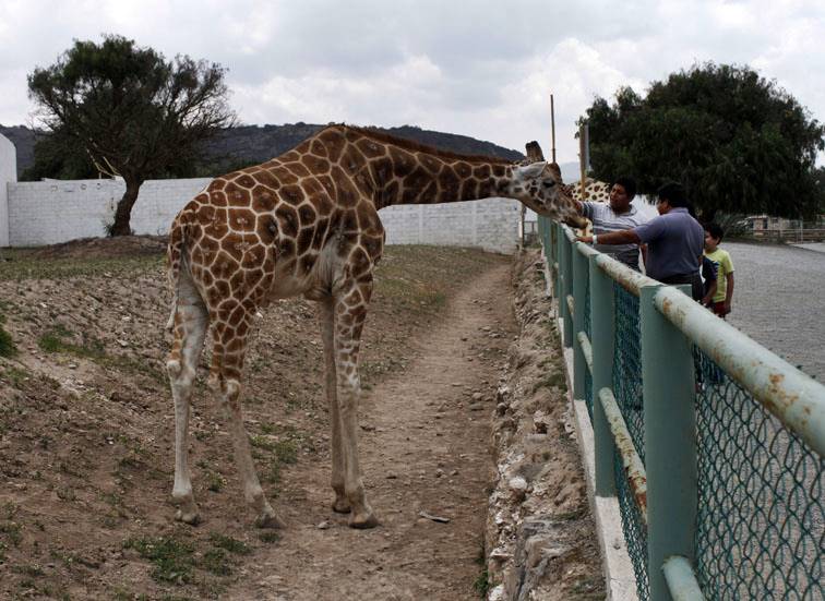 Externa beneplácito por rescate del parque y espera su desarrollo. 