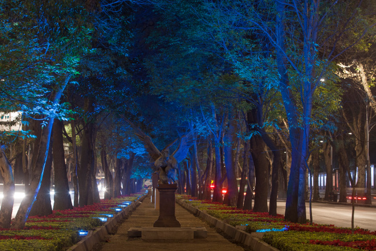Los ecologistas proponen utilizar lámparas ahorradoras en las luminarias
