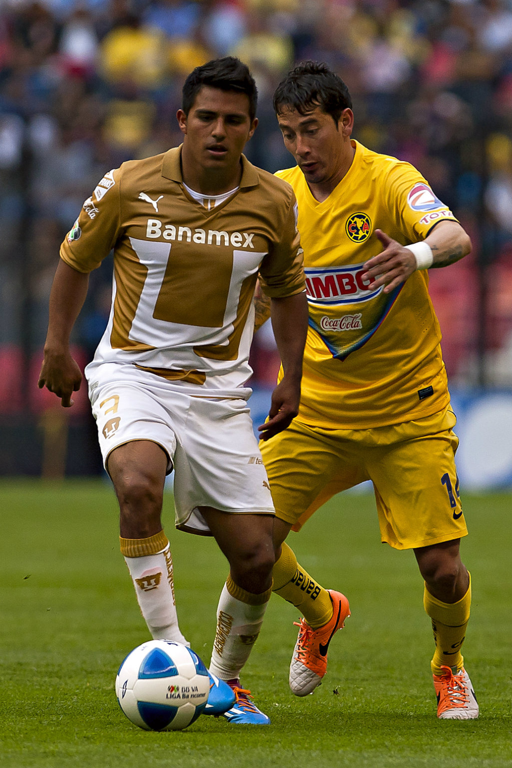 Javier Cortés 