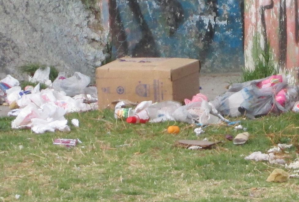 Aspectos de basura en calles de la capital mexiquense.