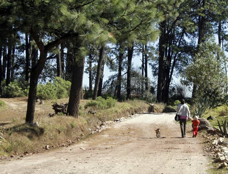 La mujer y su hijo fueron enterrados al pie de unos árboles. 