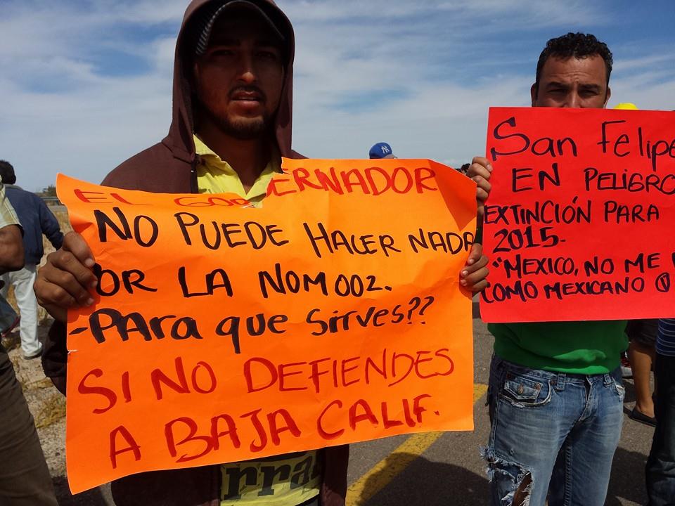Pescadores de San Felipe exigen se les permita pescar con sus redes