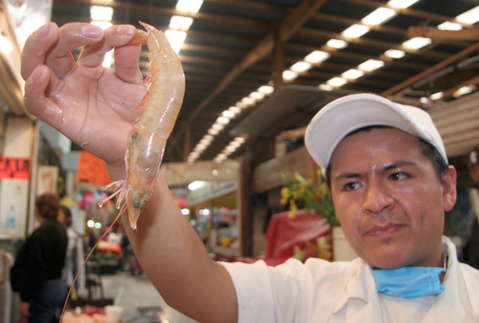 A la alza costo del camarón.