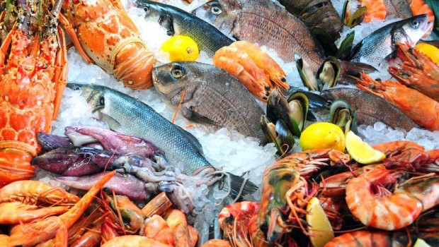 Pescados y mariscos