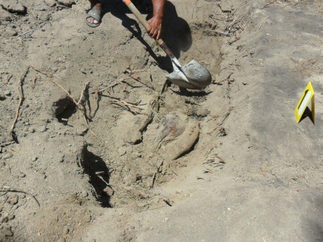 Fosa Clandestina en una huerta de Tuncingo, Guerrero.