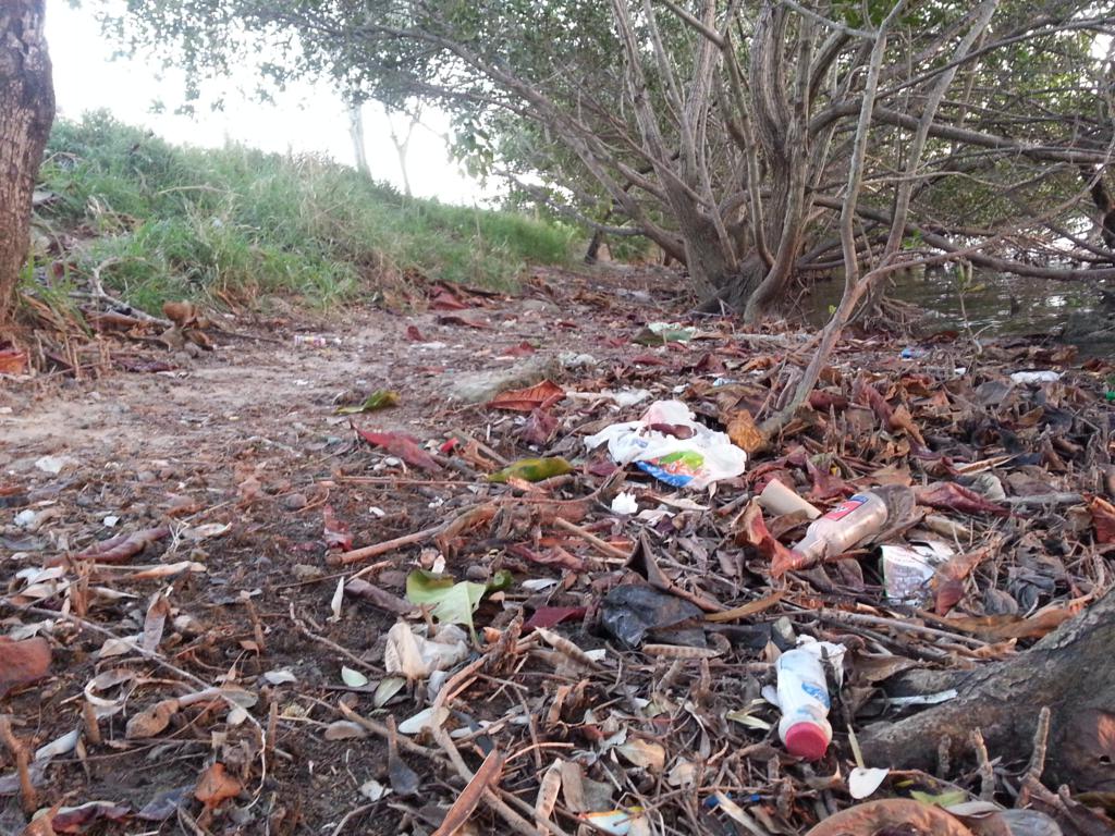 Botes de plástico y vidrio en las orillas de la laguna.