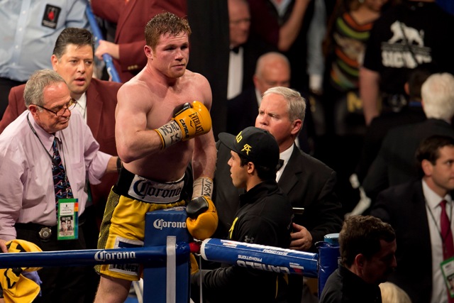 'Canelo' Álvarez vs 'Perro' Angulo