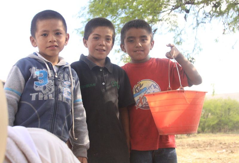 Diego, Tino e Israel, de entre 7 y 9 años de edad, venden semillas a los visitantes.