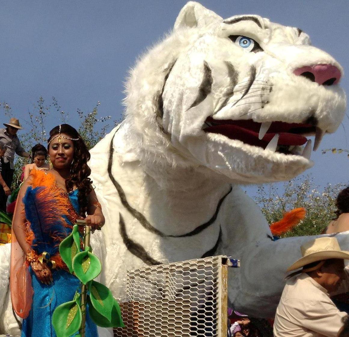 Piden a los habitantes de Tláhuac no realizar disparos durante los carnavales.