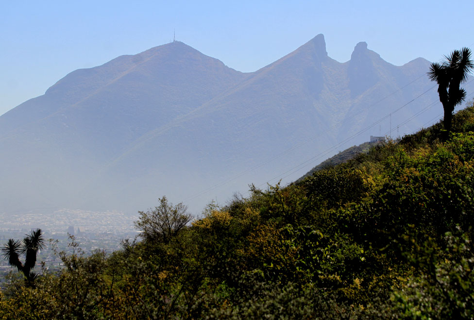 El cerro de La Silla se asoma entre la flora de la región. 