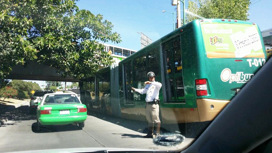 Una oruga quedó atorada en el Malecón.