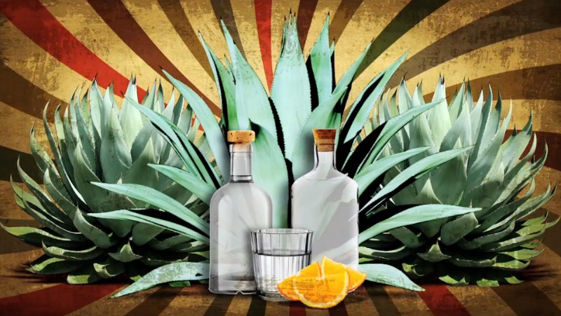 El mezcal lo puedes acompañar con naranja.