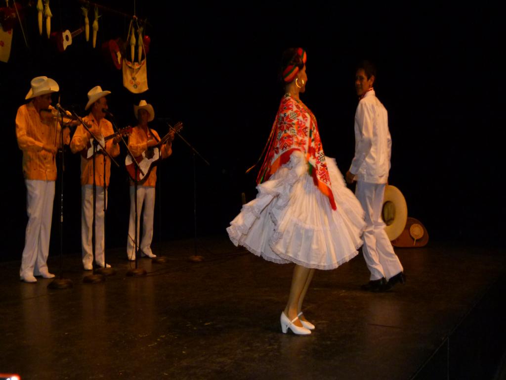 El baile es similar a otros que se fincaron en toda la Huasteca, denominados sones.