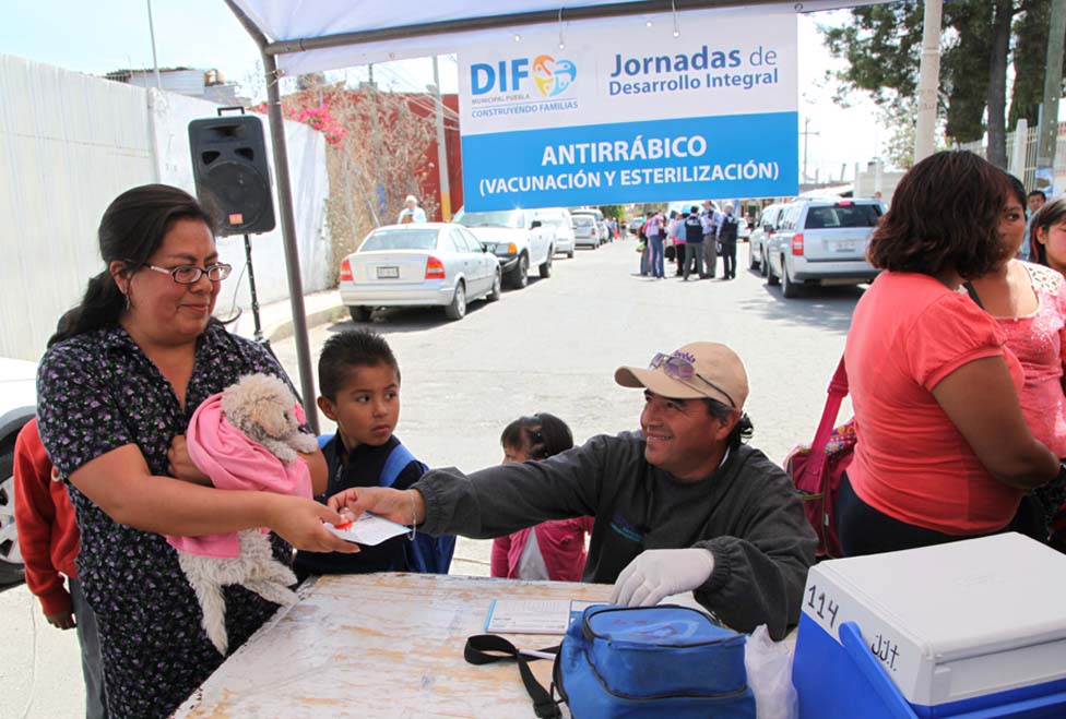 Más de 15 mil beneficiarios con vacunas y esterilización, en el primer mes de la administración.