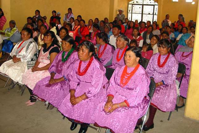 indígenas, mazahuas, atención de la codhem