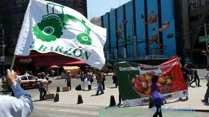 Integrantes del Barzón salieron a las calles a regalar manzanas