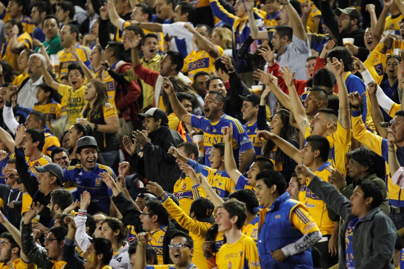 Afición Tigre