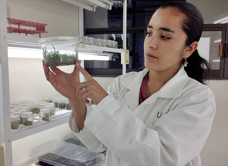 Dirigidos a profesionistas de las áreas de biología. 
