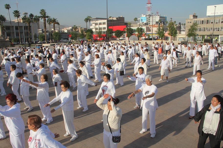 Más de 500 personas se vistieron de blanco