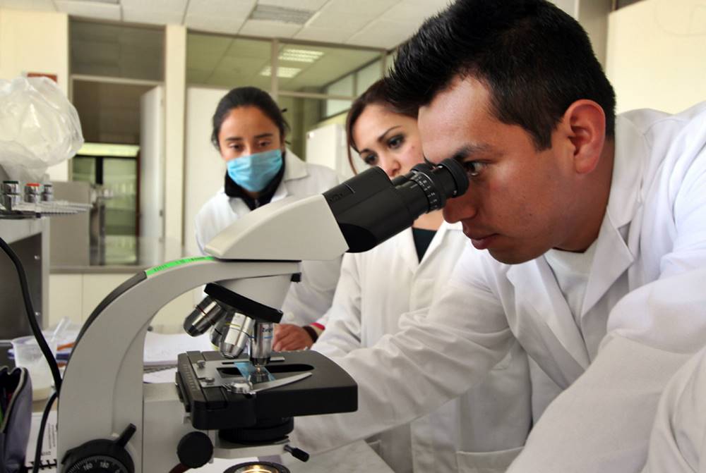 La licenciatura es ofertada en la Escuela Superior de Apan (ESAp).