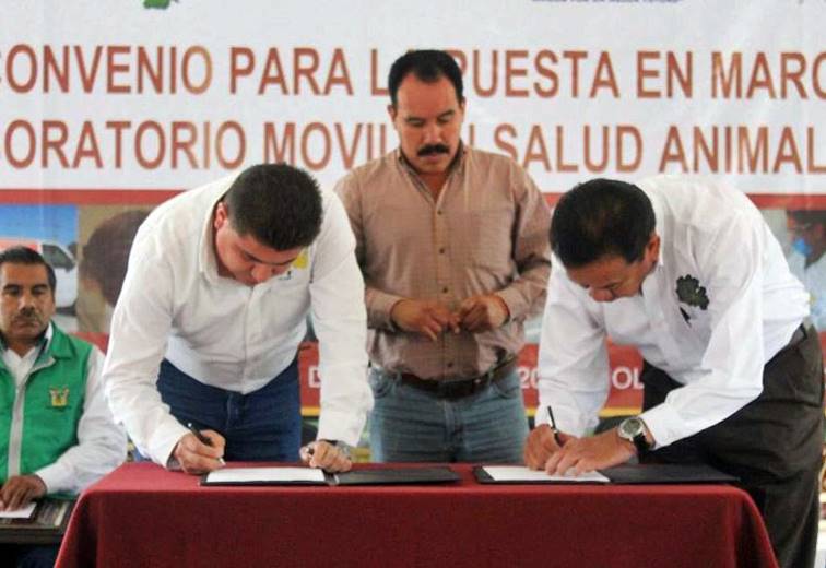 Pretenden detectar Brucelosis en bovinos, ovinos y caprinos. 