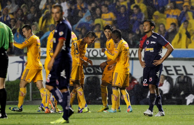 Tigres festejando