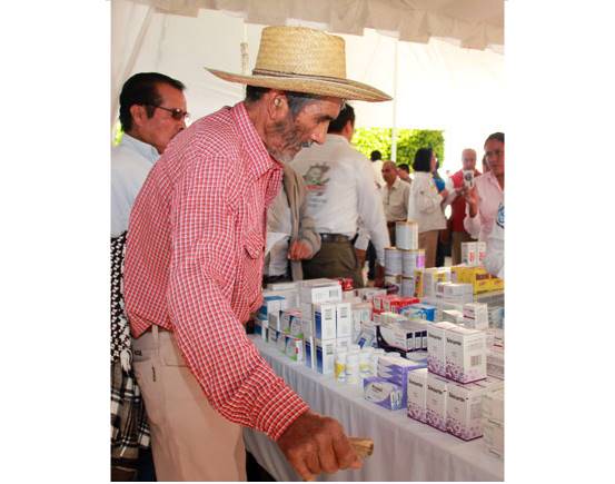 Van 45 miol acciones de salud. 