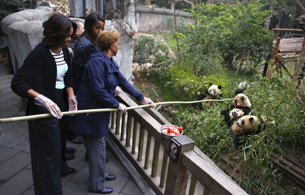 Visitar reservas de pandas está prohibido para la gente común, pero se hizo una excepción con la primera dama de Estados Unidos