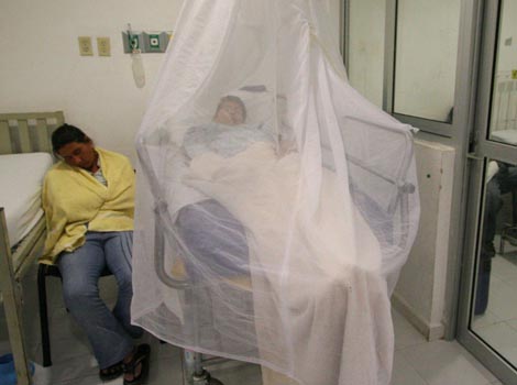 El año pasado Hidalgo cerró con 874 casos, de los cuales 250 fueron hemorrágicos y hubo cero decesos.