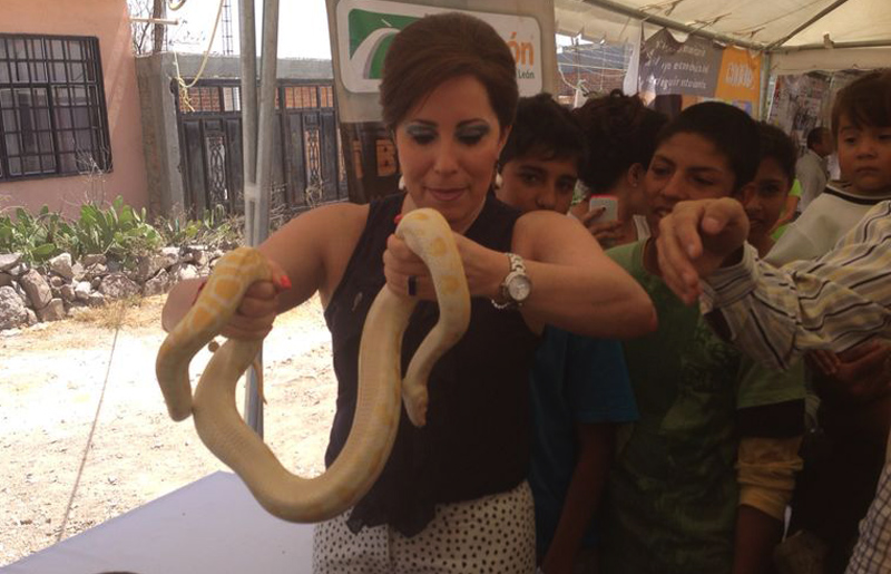 La alcaldesa posó con una serpiente pitón.