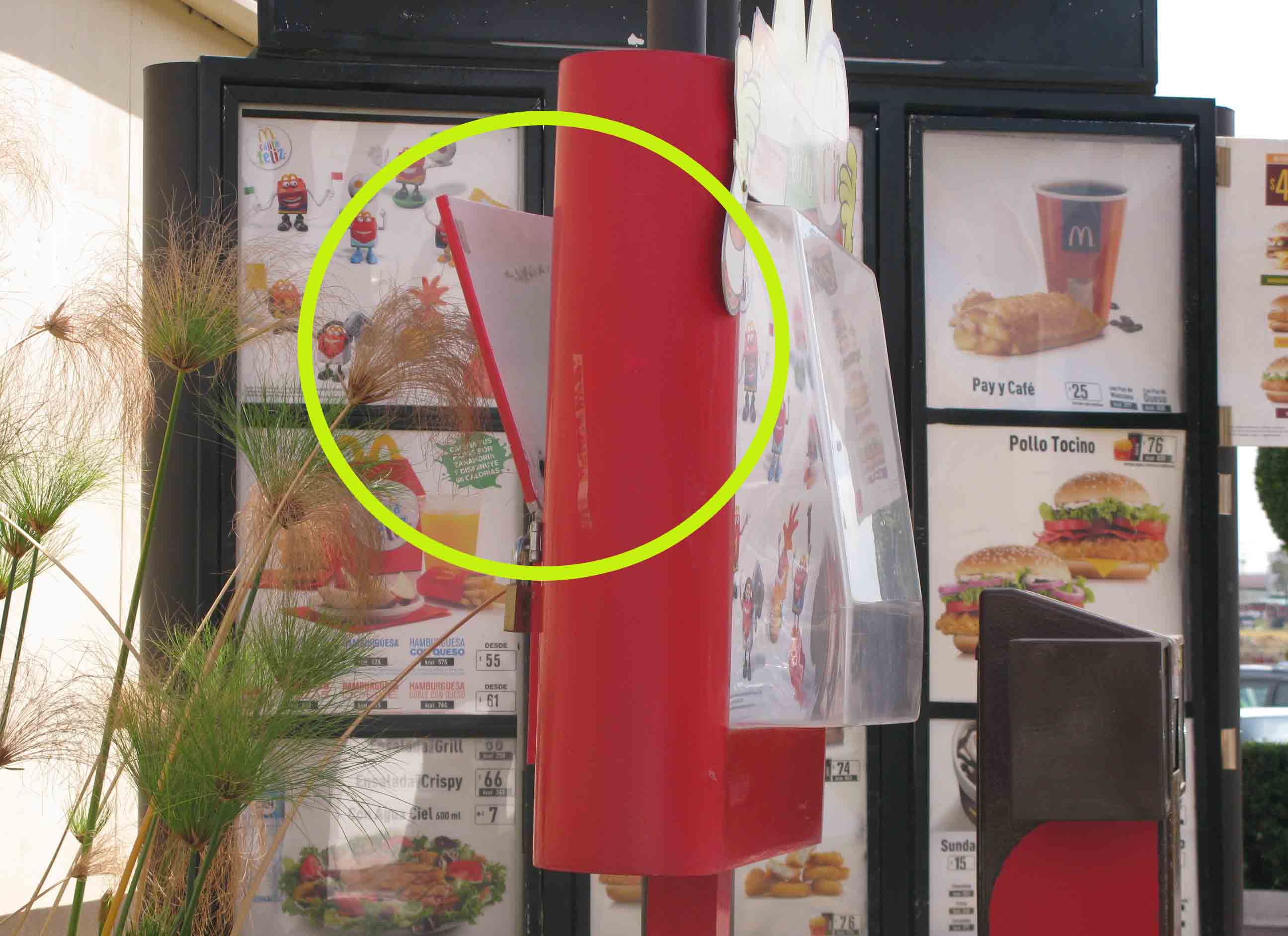 El exhibidor fue abierto por los ladrones. 