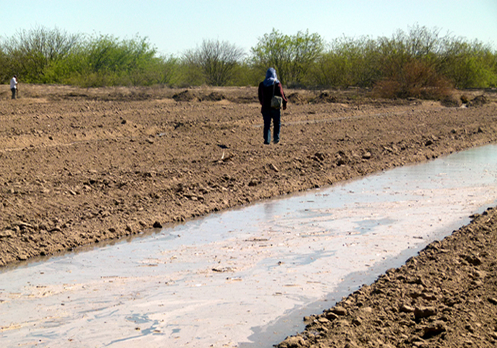 Se tendrá una derrama económica en las comunidades rurales del municipio de San Pedro de las Colonias.