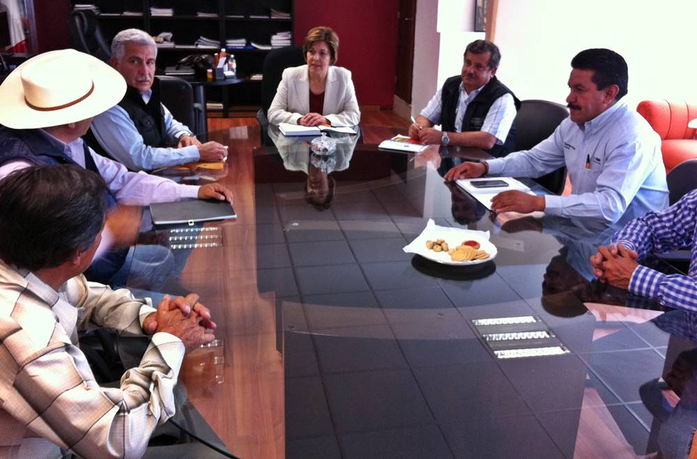 Se busca que el margen de ganancias se alto para los productores. 