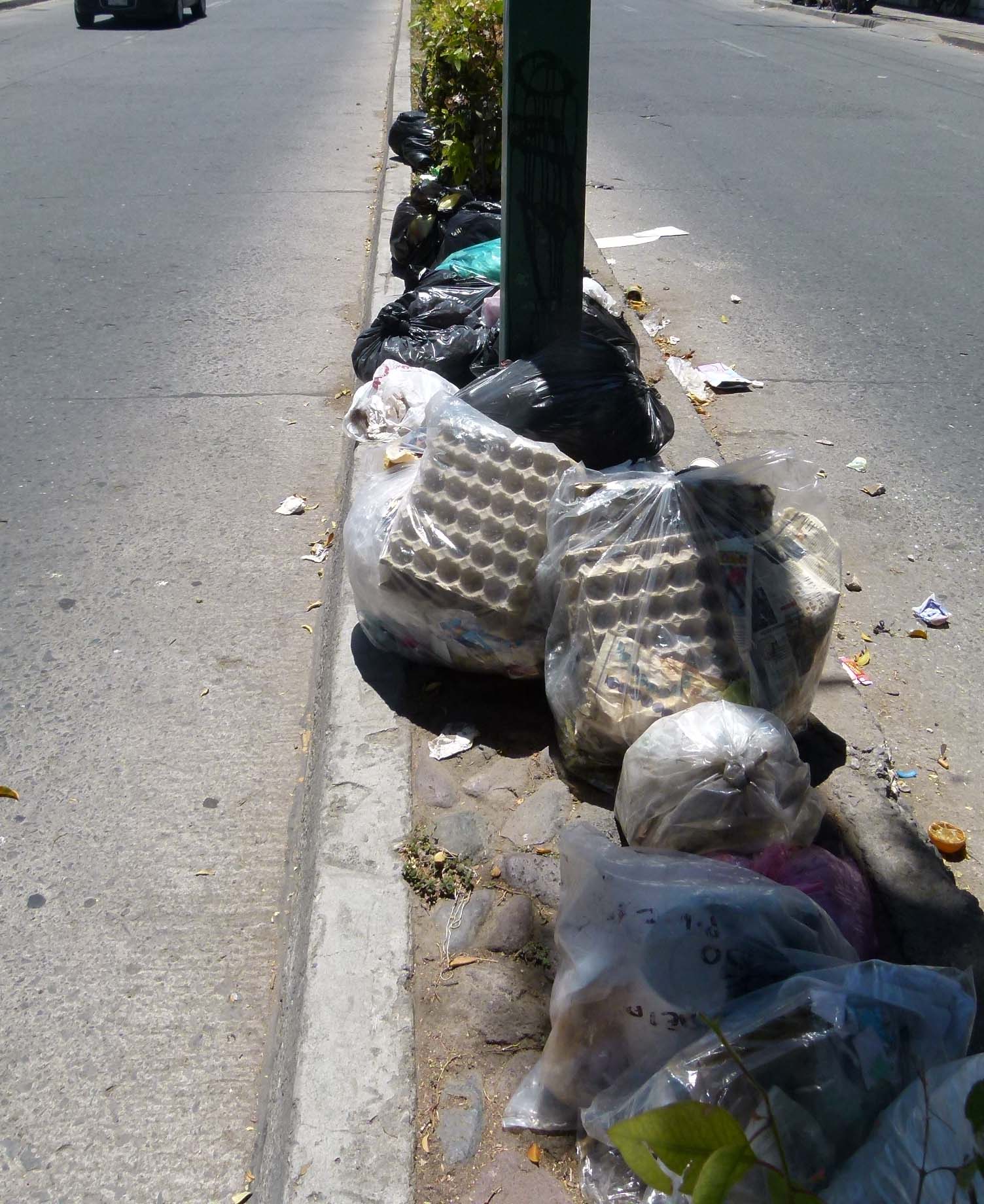 Hileras de bolsas con basura.